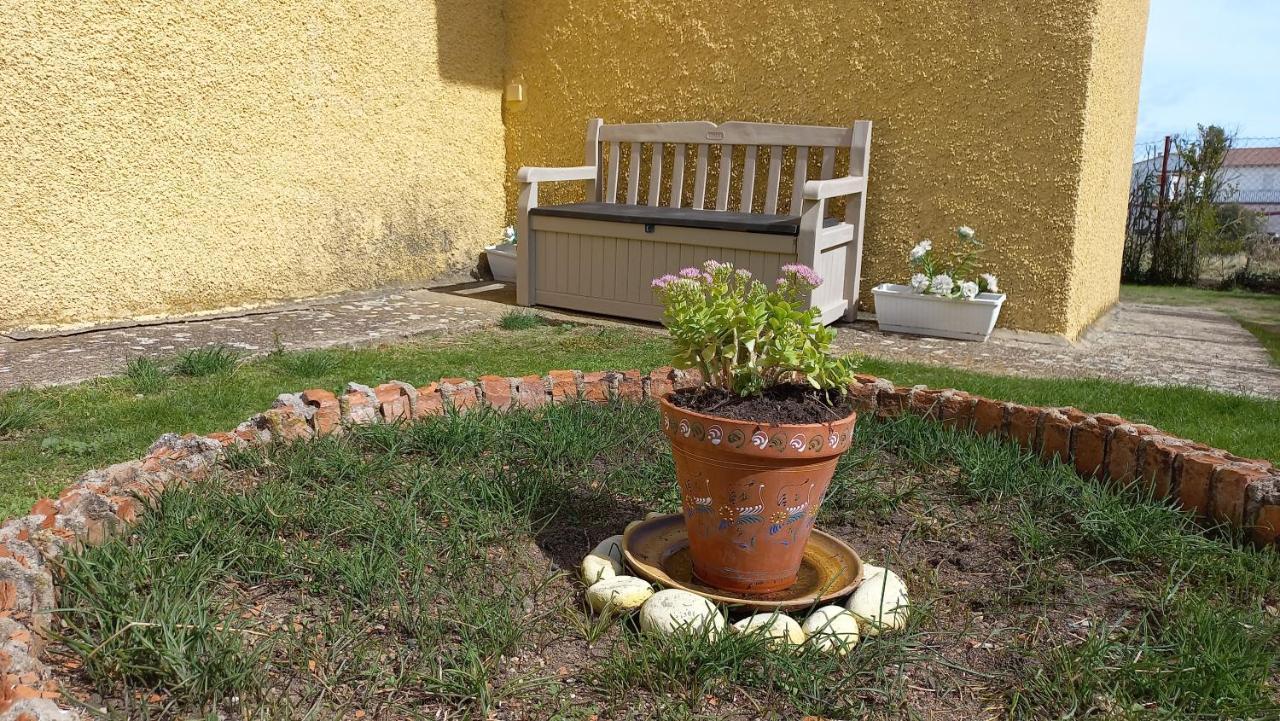 Casa Rural Alameda Con Chimenea Y Jardin El Barco de Ávila Buitenkant foto